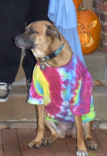 Brandie on Halloween, 2010