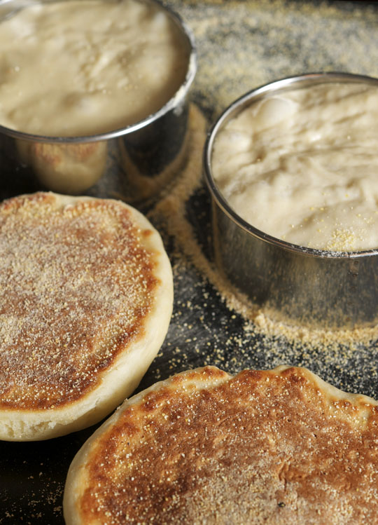 Homemade English muffins, free form and in molds