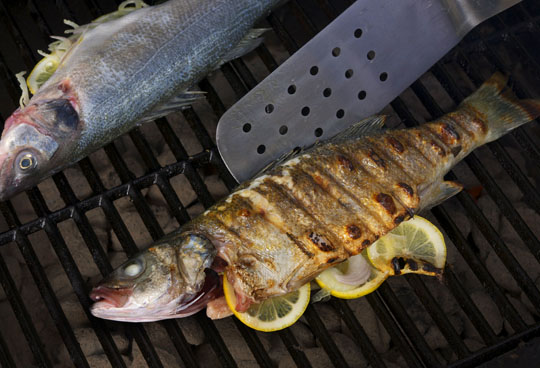 What Is Branzino?