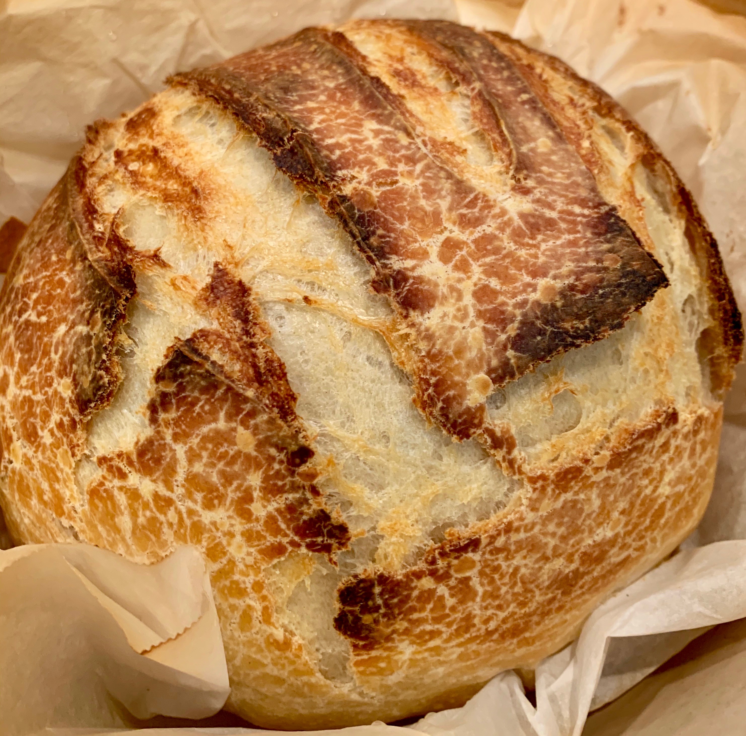 No-Knead Sourdough Bread — Under A Tin Roof