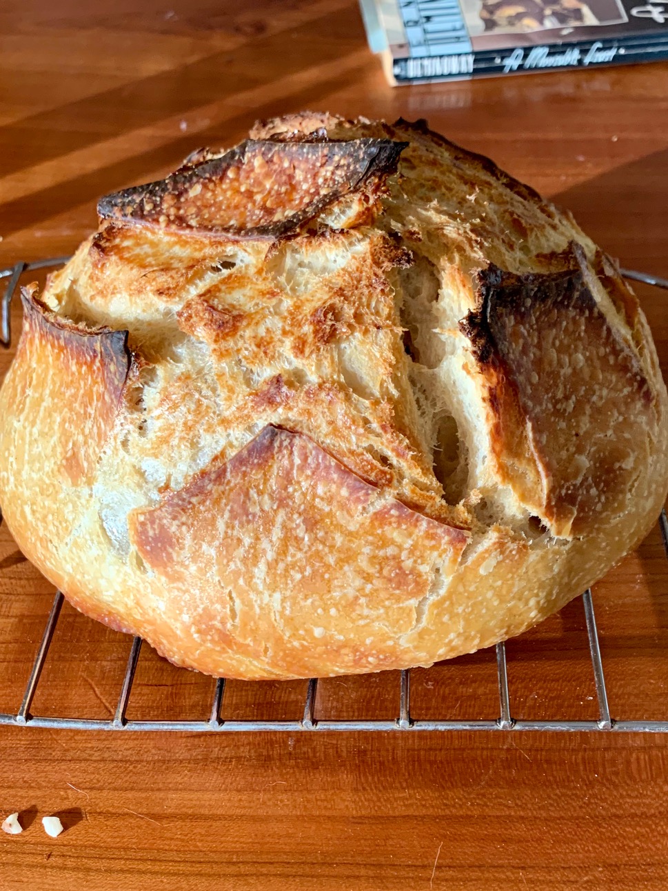 No-Knead Sourdough Bread — Under A Tin Roof